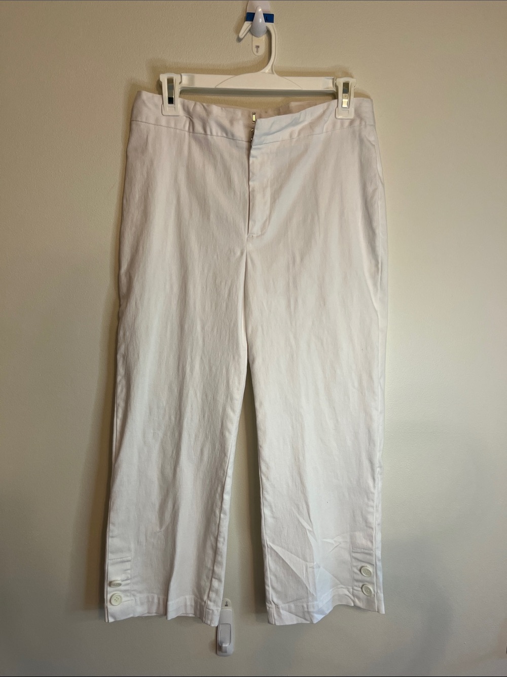 Nomadic Traders Cropped Pant Size 6